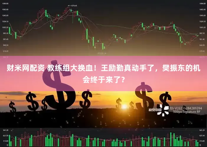 财米网配资 教练组大换血！王励勤真动手了，樊振东的机会终于来了？